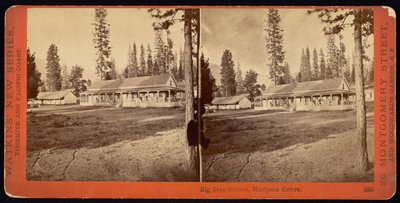 Big Tree Station, Mariposa Grove by Carleton E. Watkins